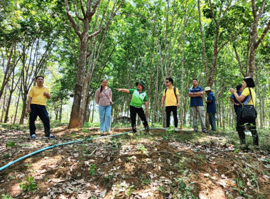 ติดตามแนะนำการดำเนินโครงการประกวดผลง่นขับเคลื่อนปรัชญาของเศรษฐกิจพอเพียง ณ กลุ่มเกษตรกรชาวสวนยางตำบลไม้ยา ... พารามิเตอร์รูปภาพ 6