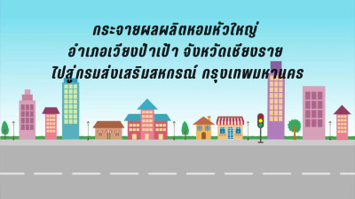กระจายผลผลิตหอมหัวใหญ่ อำเภอเวียงป่าเป้า จังหวัดเชียงราย ... พารามิเตอร์รูปภาพ 1