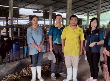 ตรวจสอบปริมาณน้ำนมโคและประชากรโคนม ฟาร์มสมาชิกสหกรณ์โคนมแม่ลาว จำกัด ... พารามิเตอร์รูปภาพ 5