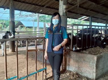ตรวจสอบปริมาณน้ำนมโคและประชากรโคนม ฟาร์มสมาชิกสหกรณ์โคนมแม่ลาว จำกัด ... พารามิเตอร์รูปภาพ 6