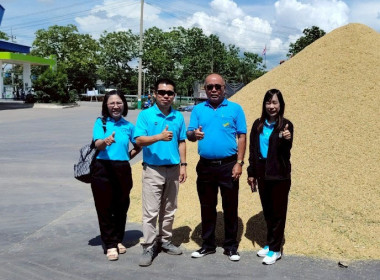 กลุ่มส่งเสริมและพัฒนาธุรกิจสหกรณ์ ติดตามโครงการส่งเสริมเกษตรแบบแปลงใหญ่ โครงการยกระดับสถาบันเกษตรกรฯ และการรวบรวมข้าวเปลือก ปีการผลิต 2568 ... พารามิเตอร์รูปภาพ 1