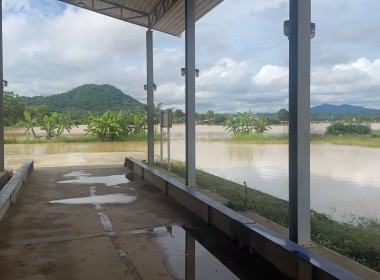 ติดตามสถานการณ์ผลกระทบน้ำท่วมของสหกรณ์ ... พารามิเตอร์รูปภาพ 7