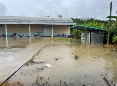 ติดตามสถานการณ์ผลกระทบน้ำท่วมของสหกรณ์ ... พารามิเตอร์รูปภาพ 8