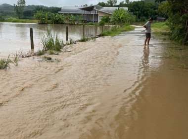 ติดตามสถานการณ์ผลกระทบน้ำท่วมของสหกรณ์ ... พารามิเตอร์รูปภาพ 9