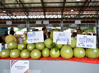 ร่วมงานมหกรรมตลาดสินค้า จังหวัดเชียงราย พารามิเตอร์รูปภาพ 5