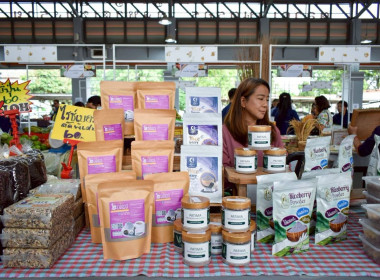 ร่วมงานมหกรรมตลาดสินค้า จังหวัดเชียงราย พารามิเตอร์รูปภาพ 10