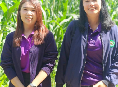 ลงพื้นที่ติดตามการดำเนินงาน ... พารามิเตอร์รูปภาพ 1