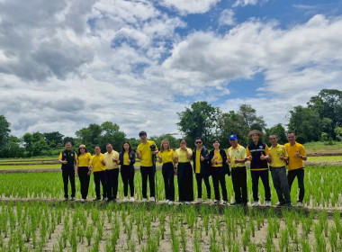 สหกรณ์จังหวัดเชียงรายเป็นประธานในพิธีเปิดโครงการอาสาสมัครสหกรณ์ กิจกรรมพัฒนาอาสาสมัครสหกรณ์ ... พารามิเตอร์รูปภาพ 18