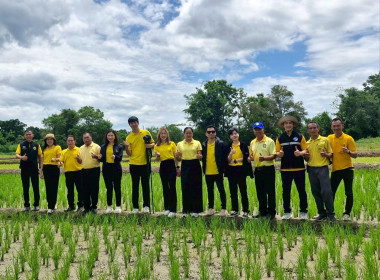 สหกรณ์จังหวัดเชียงรายเป็นประธานในพิธีเปิดโครงการอาสาสมัครสหกรณ์ กิจกรรมพัฒนาอาสาสมัครสหกรณ์ ... พารามิเตอร์รูปภาพ 4
