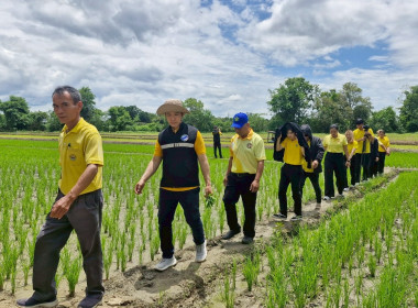 สหกรณ์จังหวัดเชียงรายเป็นประธานในพิธีเปิดโครงการอาสาสมัครสหกรณ์ กิจกรรมพัฒนาอาสาสมัครสหกรณ์ ... พารามิเตอร์รูปภาพ 26
