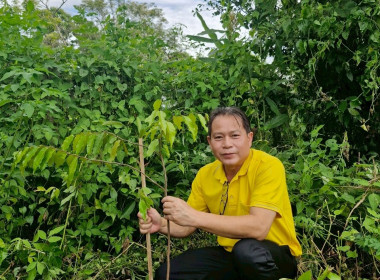 สหกรณ์จังหวัดเชียงรายเป็นประธานในพิธีเปิดโครงการอาสาสมัครสหกรณ์ กิจกรรมพัฒนาอาสาสมัครสหกรณ์ ... พารามิเตอร์รูปภาพ 29