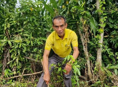 สหกรณ์จังหวัดเชียงรายเป็นประธานในพิธีเปิดโครงการอาสาสมัครสหกรณ์ กิจกรรมพัฒนาอาสาสมัครสหกรณ์ ... พารามิเตอร์รูปภาพ 31