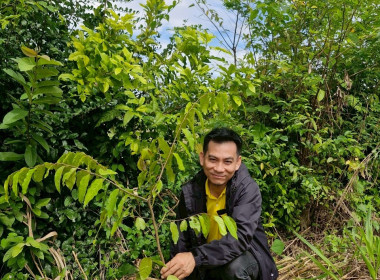 สหกรณ์จังหวัดเชียงรายเป็นประธานในพิธีเปิดโครงการอาสาสมัครสหกรณ์ กิจกรรมพัฒนาอาสาสมัครสหกรณ์ ... พารามิเตอร์รูปภาพ 32