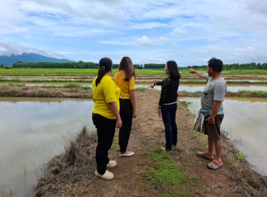 ตรวจสอบติดตามการใช้เงินกู้เงินกองทุนสงเคราะห์เกษตรกรโครงการสร้างความเข้มแข็งให้กับกลุ่มเกษตรกรเพื่อเข้าถึงแหล่งเงินทุนในการผลิตและการตลาด ... พารามิเตอร์รูปภาพ 6
