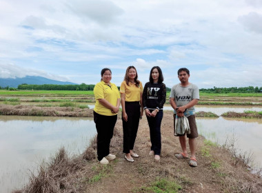 ตรวจสอบติดตามการใช้เงินกู้เงินกองทุนสงเคราะห์เกษตรกรโครงการสร้างความเข้มแข็งให้กับกลุ่มเกษตรกรเพื่อเข้าถึงแหล่งเงินทุนในการผลิตและการตลาด ... พารามิเตอร์รูปภาพ 7