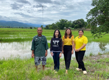 ตรวจสอบติดตามการใช้เงินกู้เงินกองทุนสงเคราะห์เกษตรกรโครงการสร้างความเข้มแข็งให้กับกลุ่มเกษตรกรเพื่อเข้าถึงแหล่งเงินทุนในการผลิตและการตลาด ... พารามิเตอร์รูปภาพ 8