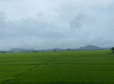 ตรวจสอบติดตามการใช้เงินกู้เงินกองทุนสงเคราะห์เกษตรกรโครงการสร้างความเข้มแข็งให้กับกลุ่มเกษตรกรเพื่อเข้าถึงแหล่งเงินทุนในการผลิตและการตลาด ... พารามิเตอร์รูปภาพ 9