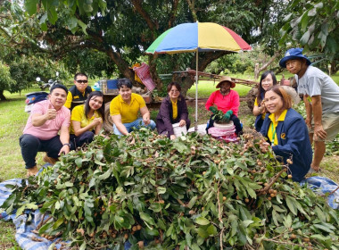 ติดตามโครงการยกระดับคุณภาพมาตรฐานสินค้าเกษตร (GAP พืชลำไย) พารามิเตอร์รูปภาพ 4