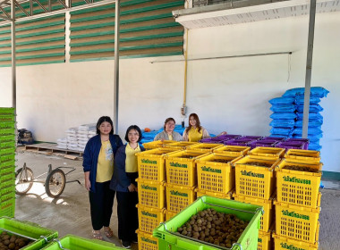 ติดตามธุรกิจรวบรวมผลผลิตลำไยของสหกรณ์การเกษตรแม่สรวย จำกัด พารามิเตอร์รูปภาพ 2