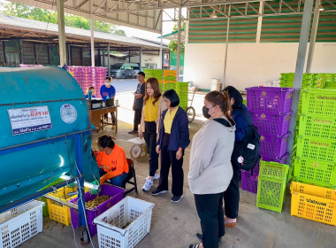 ติดตามธุรกิจรวบรวมผลผลิตลำไยของสหกรณ์การเกษตรแม่สรวย จำกัด พารามิเตอร์รูปภาพ 4