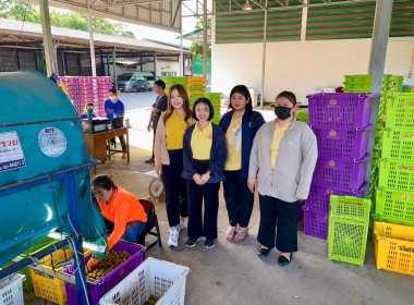 ติดตามธุรกิจรวบรวมผลผลิตลำไยของสหกรณ์การเกษตรแม่สรวย จำกัด พารามิเตอร์รูปภาพ 7