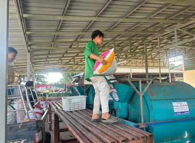 ติดตามธุรกิจรวบรวมผลผลิตลำไยของสหกรณ์การเกษตรแม่สรวย จำกัด พารามิเตอร์รูปภาพ 10