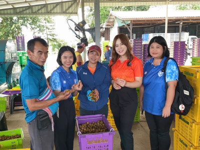 ติดตามธุรกิจรวบรวมผลผลิตลำไยของสหกรณ์การเกษตรแม่สรวย จำกัด พารามิเตอร์รูปภาพ 1