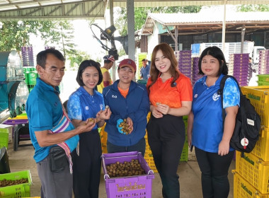 ติดตามธุรกิจรวบรวมผลผลิตลำไยของสหกรณ์การเกษตรแม่สรวย จำกัด พารามิเตอร์รูปภาพ 1