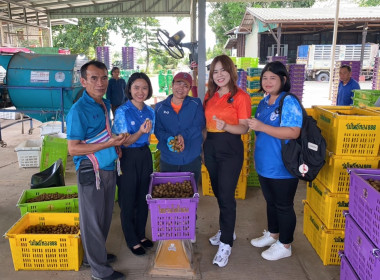 ติดตามธุรกิจรวบรวมผลผลิตลำไยของสหกรณ์การเกษตรแม่สรวย จำกัด พารามิเตอร์รูปภาพ 2
