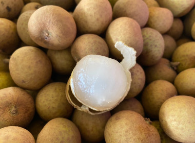 ติดตามธุรกิจรวบรวมผลผลิตลำไยของสหกรณ์การเกษตรแม่สรวย จำกัด พารามิเตอร์รูปภาพ 3