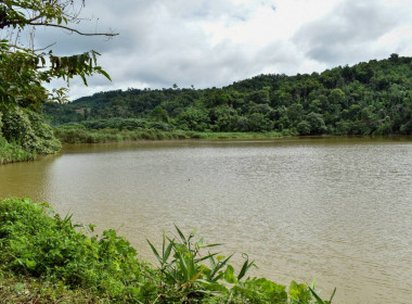 เข้าร่วมพิธีปล่อยพันธุ์สัตว์น้ำ ... พารามิเตอร์รูปภาพ 11