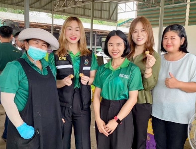 ติดตามธุรกิจรวบรวมผลผลิตลำไยของสหกรณ์การเกษตรแม่สรวย จำกัด พารามิเตอร์รูปภาพ 1