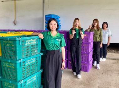 ติดตามธุรกิจรวบรวมผลผลิตลำไยของสหกรณ์การเกษตรแม่สรวย จำกัด พารามิเตอร์รูปภาพ 3