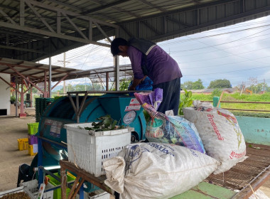 ติดตามธุรกิจรวบรวมผลผลิตลำไยของสหกรณ์การเกษตรแม่สรวย จำกัด พารามิเตอร์รูปภาพ 7