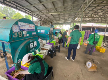 ติดตามธุรกิจรวบรวมผลผลิตลำไยของสหกรณ์การเกษตรแม่สรวย จำกัด พารามิเตอร์รูปภาพ 8