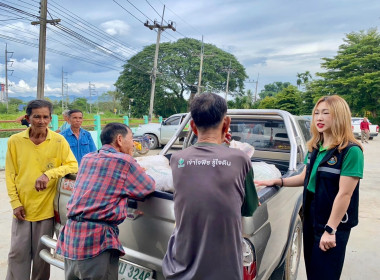 ติดตามธุรกิจรวบรวมผลผลิตลำไยของสหกรณ์การเกษตรแม่สรวย จำกัด พารามิเตอร์รูปภาพ 9
