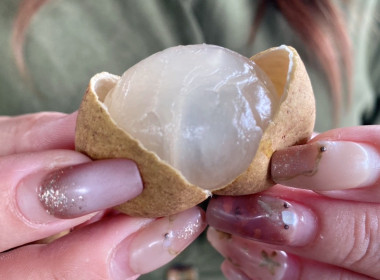 ติดตามธุรกิจรวบรวมผลผลิตลำไยของสหกรณ์การเกษตรแม่สรวย จำกัด พารามิเตอร์รูปภาพ 11