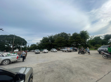 ติดตามธุรกิจรวบรวมผลผลิตลำไยของสหกรณ์การเกษตรแม่สรวย จำกัด พารามิเตอร์รูปภาพ 15