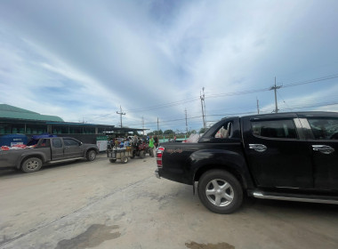 ติดตามธุรกิจรวบรวมผลผลิตลำไยของสหกรณ์การเกษตรแม่สรวย จำกัด พารามิเตอร์รูปภาพ 16