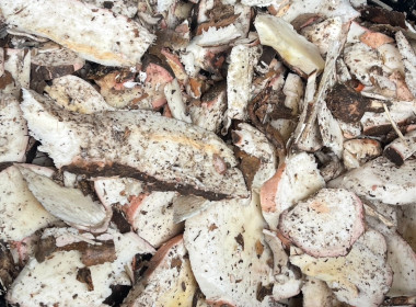 เข้าร่วมการส่งมอบเครื่องสับมันสำปะหลัง ... พารามิเตอร์รูปภาพ 10