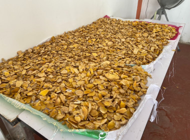 ติดตามประเมินผลโครงการและตรวจเยี่ยมสหกรณ์เพื่อค้นหาต้นแบบความสำเร็จในการแก้ไขปัญหาหนี้โครงการแก้ไขปัญหาหนี้สินและพัฒนาคุณภาพชีวิตสมาชิกสหกรณ์/กลุ่มเกษตรกรด้วยระบบสหกรณ์ ปีงบประมาณ พ.ศ. 2568 ... พารามิเตอร์รูปภาพ 11