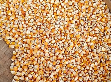 เข้าตรวจเยี่ยมติดตามการดำเนินงานการรวบรวมผลผลิตทางการเกษตร ณ สหกรณ์การเกษตรแม่สรวย จำกัด ... พารามิเตอร์รูปภาพ 5