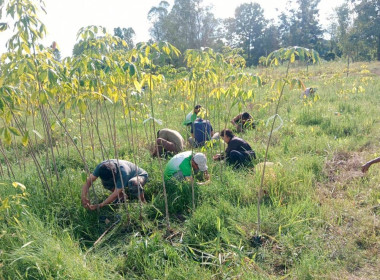 อบรมการน้อมนำเศรษฐกิจพอเพียงมาประยุกต์ใช้ และอุดมการณ์ ... พารามิเตอร์รูปภาพ 8