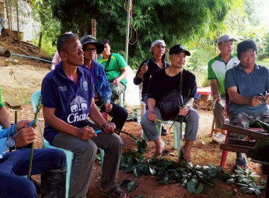 อบรมการน้อมนำเศรษฐกิจพอเพียงมาประยุกต์ใช้ และอุดมการณ์ ... พารามิเตอร์รูปภาพ 10