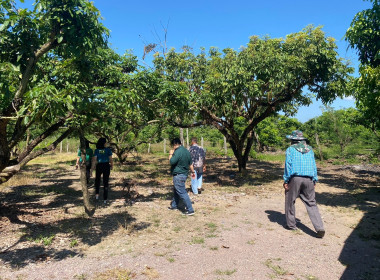 เข้าตรวจสอบ ติดตามผลการใช้เงินกู้เงินกองทุนสงเคราะห์เกษตรกร ... พารามิเตอร์รูปภาพ 9