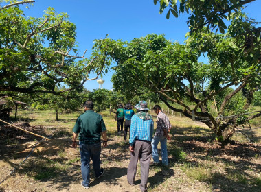 เข้าตรวจสอบ ติดตามผลการใช้เงินกู้เงินกองทุนสงเคราะห์เกษตรกร ... พารามิเตอร์รูปภาพ 10