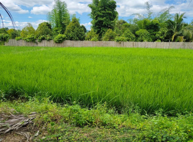 เข้าตรวจสอบ ติดตามผลการใช้เงินกู้เงินกองทุนสงเคราะห์เกษตรกร ... พารามิเตอร์รูปภาพ 6