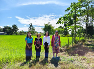 เข้าตรวจสอบ ติดตามผลการใช้เงินกู้เงินกองทุนสงเคราะห์เกษตรกร ... พารามิเตอร์รูปภาพ 13