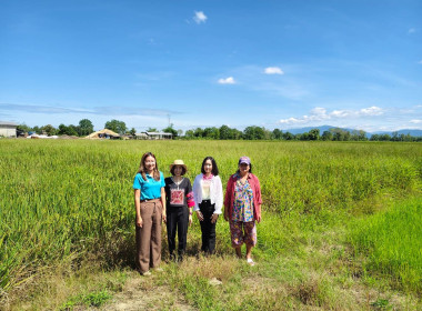 เข้าตรวจสอบ ติดตามผลการใช้เงินกู้เงินกองทุนสงเคราะห์เกษตรกร ... พารามิเตอร์รูปภาพ 14