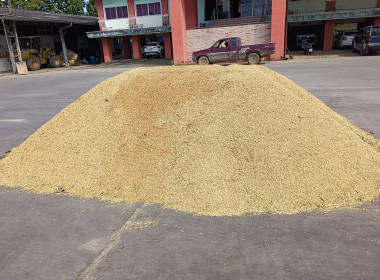 ตรวจติดตามสถานการณ์ การรวบรวมข้าว ... พารามิเตอร์รูปภาพ 8